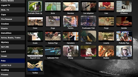 How to mod Blue Squid TV lastet apk for laptop