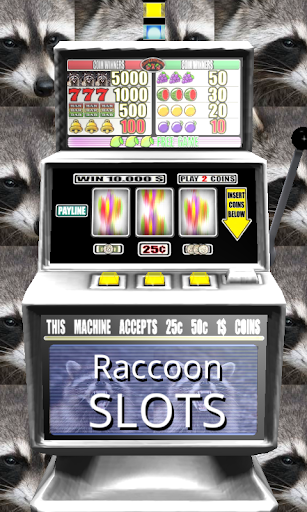 Raccoon Slots - Free