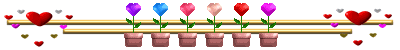Barrinhas4XXc.png