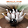 Bowling Directory Download on Windows