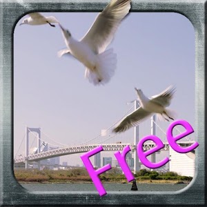 30个拍好旅游风景照的技巧(简体版) 免費版.apk 1.0