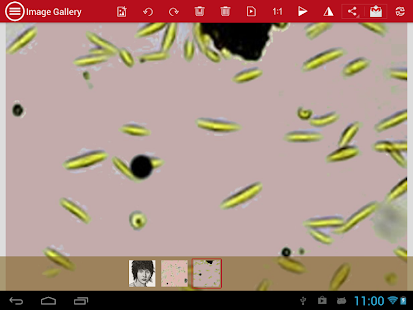 mVision Demo Screenshots 2