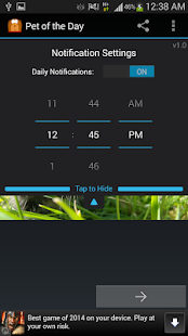 Pet of the Day: Dog & Cat Pics Screenshots 5