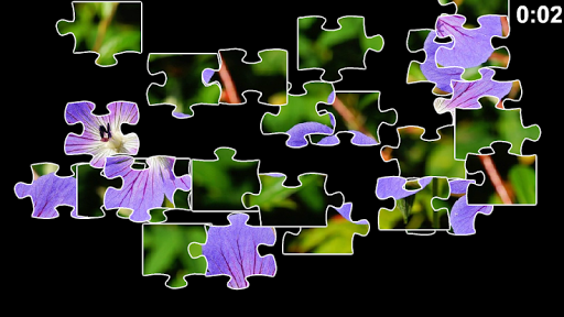 免費下載解謎APP|Flower Jigsaw Puzzles app開箱文|APP開箱王