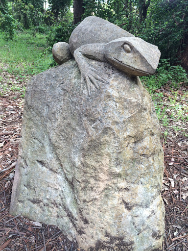 Darvell Park Lizard