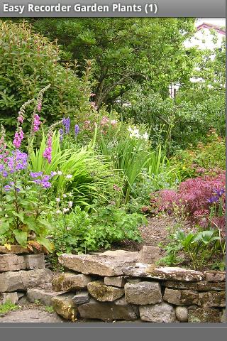 Easy Recorder Garden Plants Screen 1