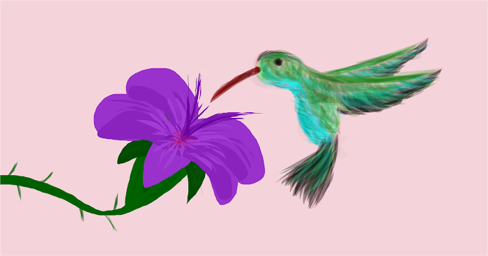 Humming Bird