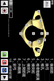 和鍼灸院式骨学R 2D poster 4