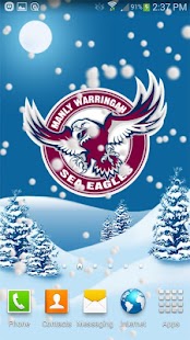 Manly Sea Eagles Snow Globe Screenshots 7