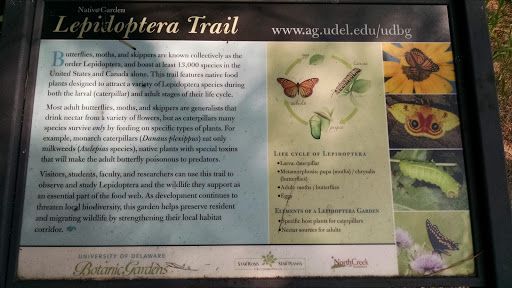 Lepidoptera Trail