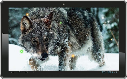 Wolf Angry Free live wallpaper Screenshots 1