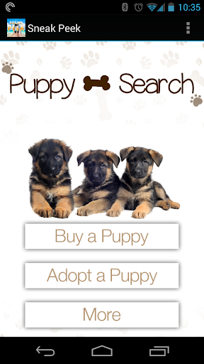 Puppy Search