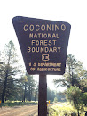 Coconino Forest Marker