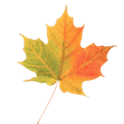 Autumn Leaves Donate LWP logo