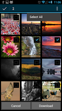 Bot for Flickr APK Download for Android