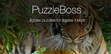 Tiger Jigsaw Puzzles Demo APK