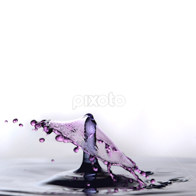 Water Droplet Collision by Micah Jaron Flack - Abstract Water Drops & Splashes