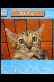 How to download puzzle{Cat} 1.0.3.3 apk for bluestacks
