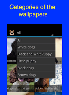 How to install Puppies Wallpapers 1.0.1 mod apk for android