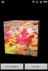3D Maple Leaf