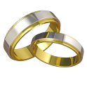 Wedding Album logo