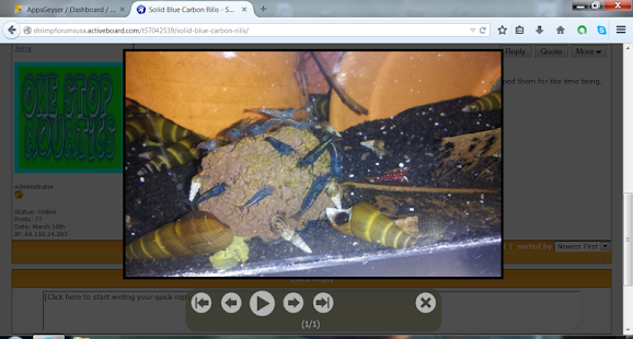 Shrimp Breeding and Tips Screenshots 12
