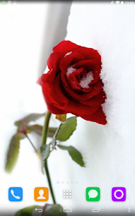 How to install Red Rose In The Snow 1.1.1 apk for laptop