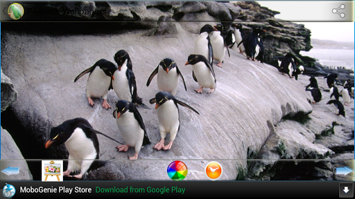【免費娛樂App】企鵝壁紙-APP點子