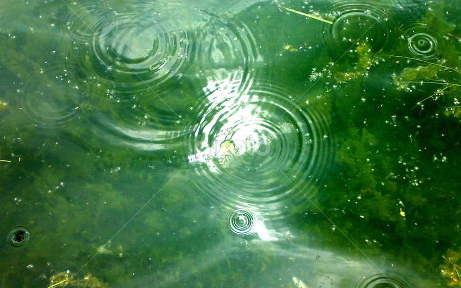 wave by Ershad Ghaderi - Nature Up Close Water