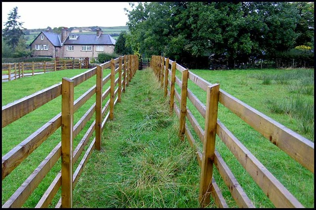 [0108path[4].jpg]