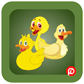 Duck Puzzle (PR Games) Apk