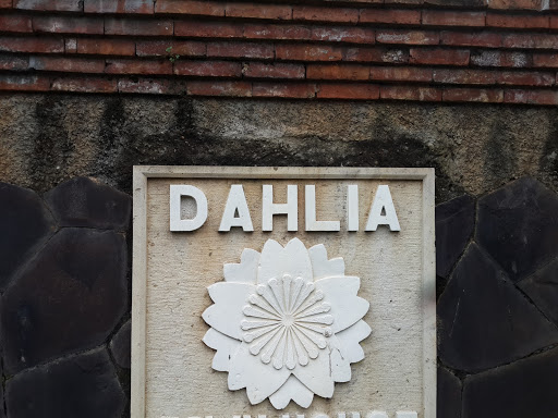 Dahlia Flower Relief