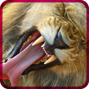 Verry Funny Animals 1.0