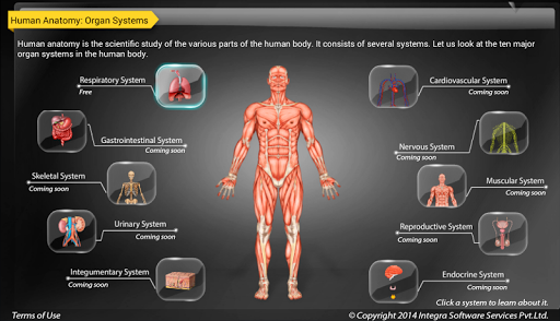 Human Anatomy Explorer