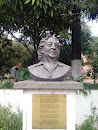 Busto Cecila Pimentel Agostini