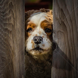 Longing by Nancy Brizendine -  