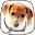 Cute Dogs Live Wallpaper Download on Windows