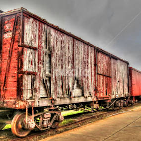 Dilapidated Boxcar by Nancy Tharp - Transportation Trains