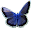 Puzzle Butterfly Download on Windows
