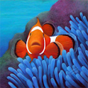 Cogiloo Aquarium