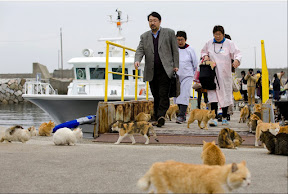 http://www.theatlantic.com/photo/2015/03/a-visit-to-aoshima-a-cat-island-in-japan/386647/