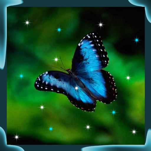 Magic Butterfly Glittering LWP 個人化 App LOGO-APP開箱王