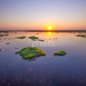 Sunrise by Nandy Photograf - Landscapes Beaches