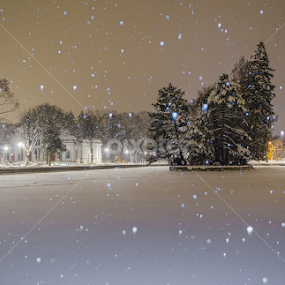 First snow by Marius Neag - City,  Street & Park City Parks