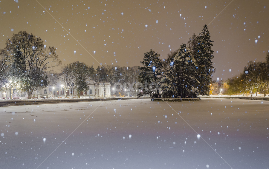First snow by Marius Neag - City,  Street & Park City Parks