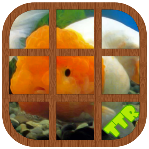 Goldfish Sliding Puzzle apk - Download latest version 0.2