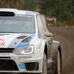 Ogier WRC Wales by John Cooper - Sports & Fitness Motorsports