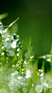 How to install Dew Wallpapers for Chat 1.0.22 apk for pc
