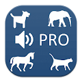 Animal Sounds + Game PRO Apk