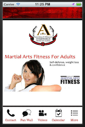 Starworld Martial Arts by Helix Mobile Marketing poster 1